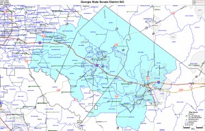 District 43 covers parts of Rockdale, Newton, and the Lithonia area of DeKalb